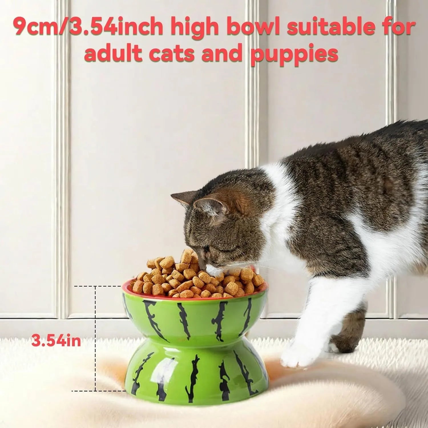 Ceramic elevated cat bowl in orange, pitaya, or watermelon pattern with a tilted, wide design.
