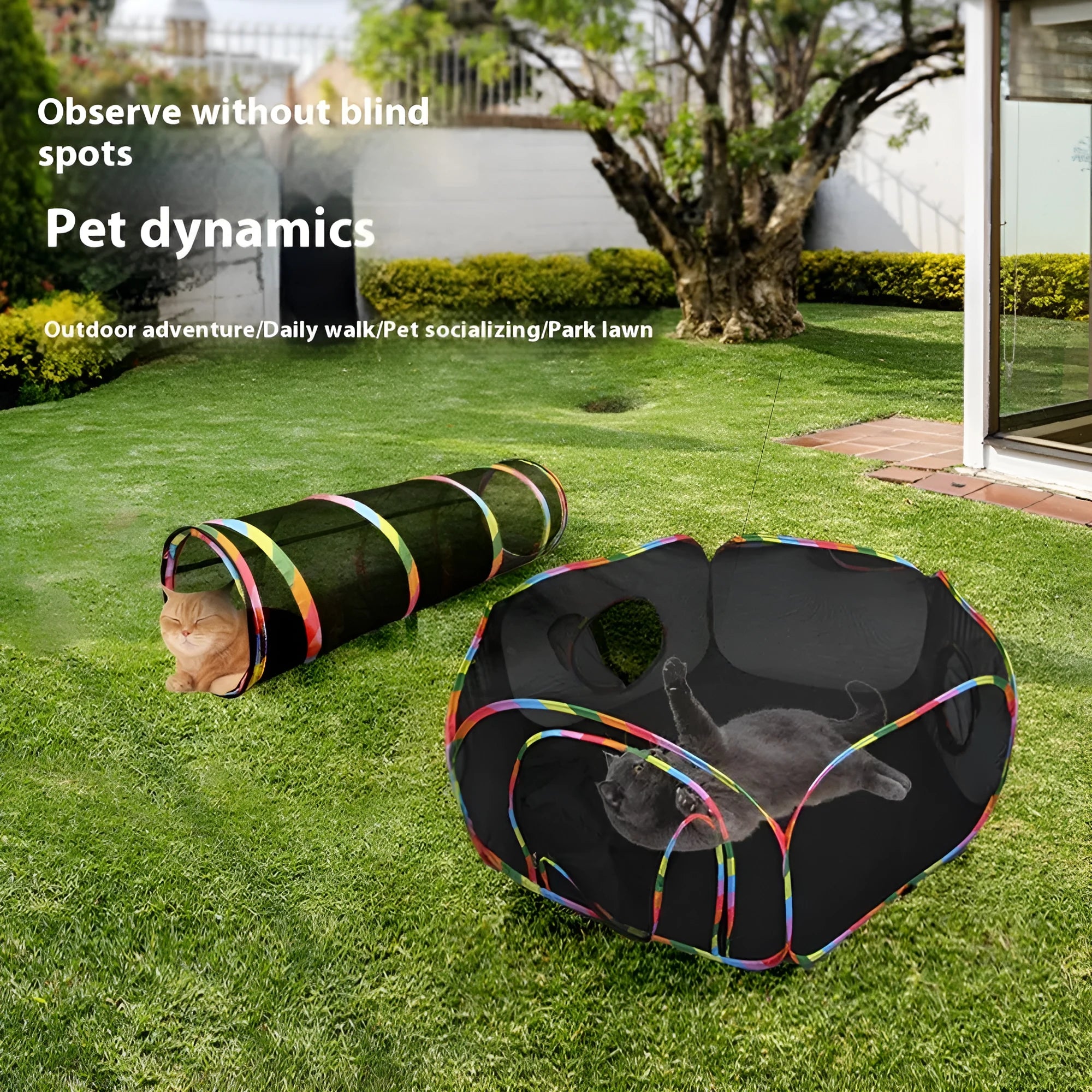 Foldable mesh cat roll cage showing hexagonal, tee and tent style options for pet play and containment