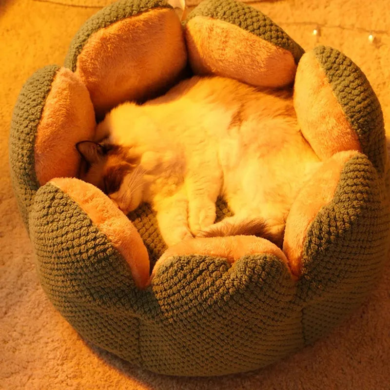 Green cactus petal shaped soft plush dog bed with a cave-like opening for cats and small dogs.