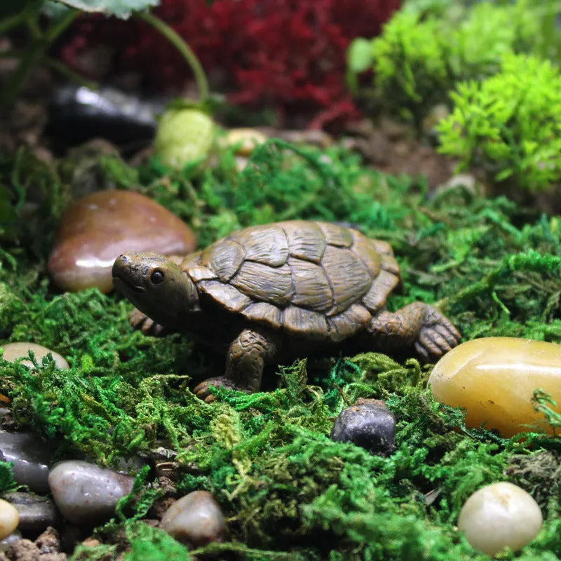 Resin simulation turtle garden decoration ornament with realistic colouration