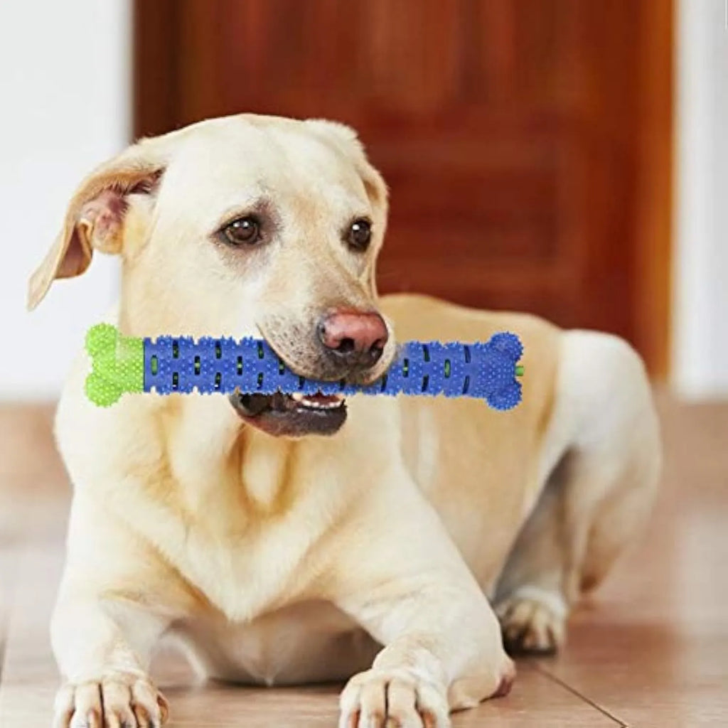 Blue green dog dental cleaning stick toy with serrated brush head and massage nodules