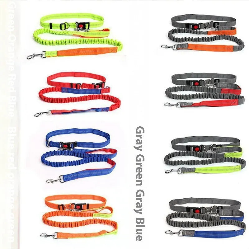 Grey and green reflective elastic dog leash showing 2.5cm width and nylon construction