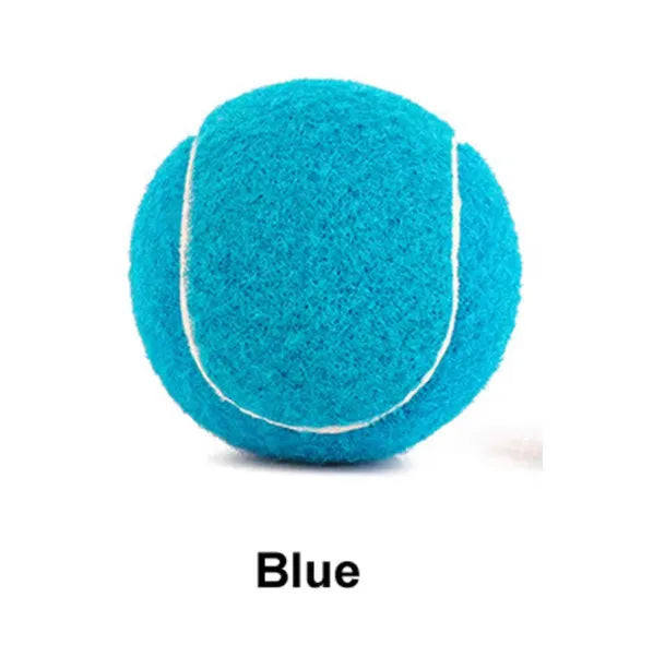 Bite-resistant rubber tennis ball dog toy 6.3cm diameter in five colour options