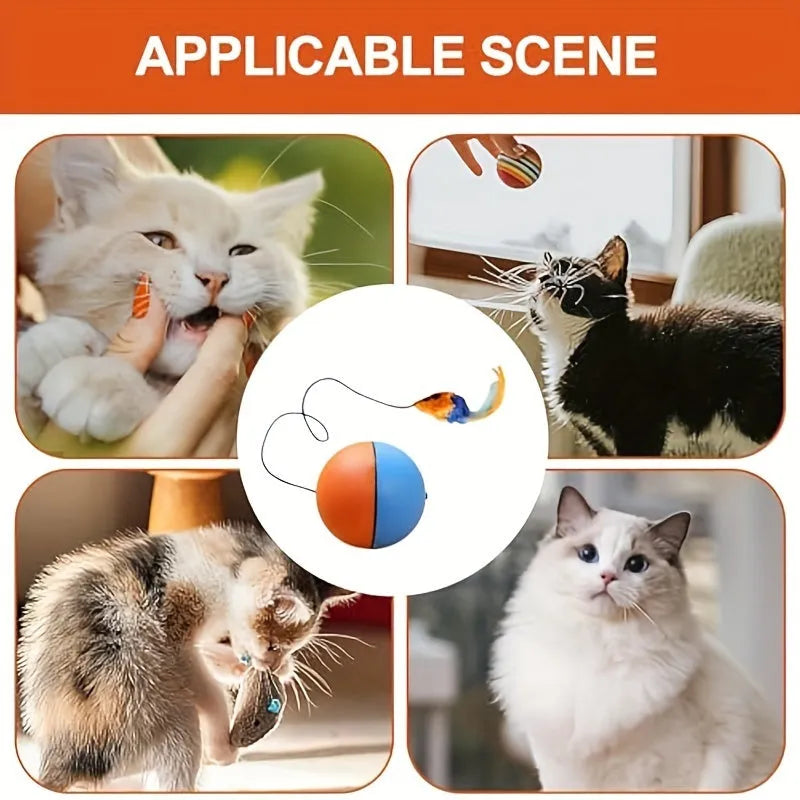 Blue and orange soft plush mouse cat toy for interactive indoor exercise.