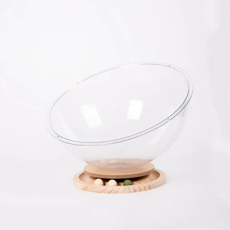 Transparent acrylic cat space capsule bed on a wooden base, showing its bathtub-style design.