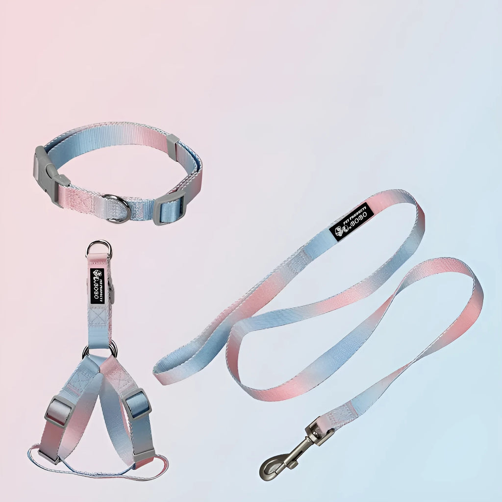 Nylon dog leash set showing pink and yellow gradient colour with multiple attachment options