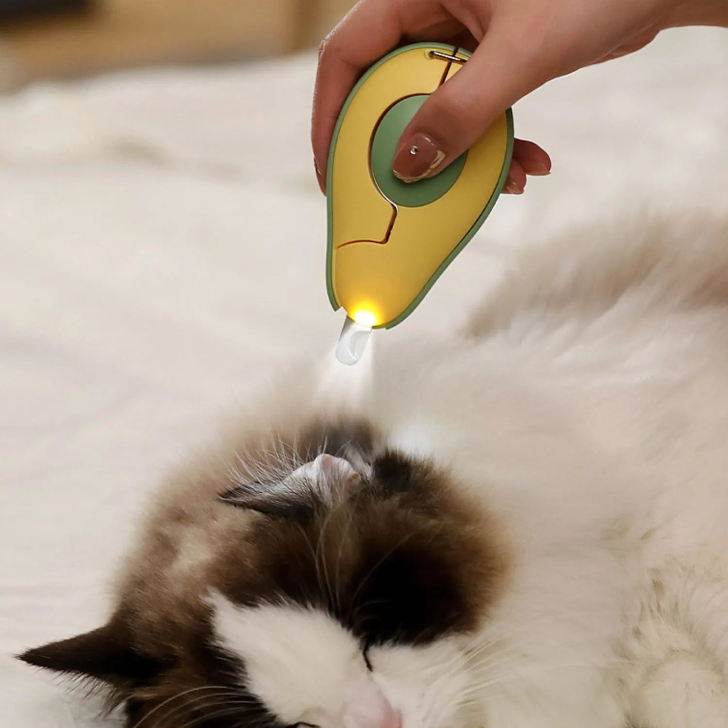 Professional LED pet nail clipper with non-slip grip for small dogs and cats in green, pink and white colours