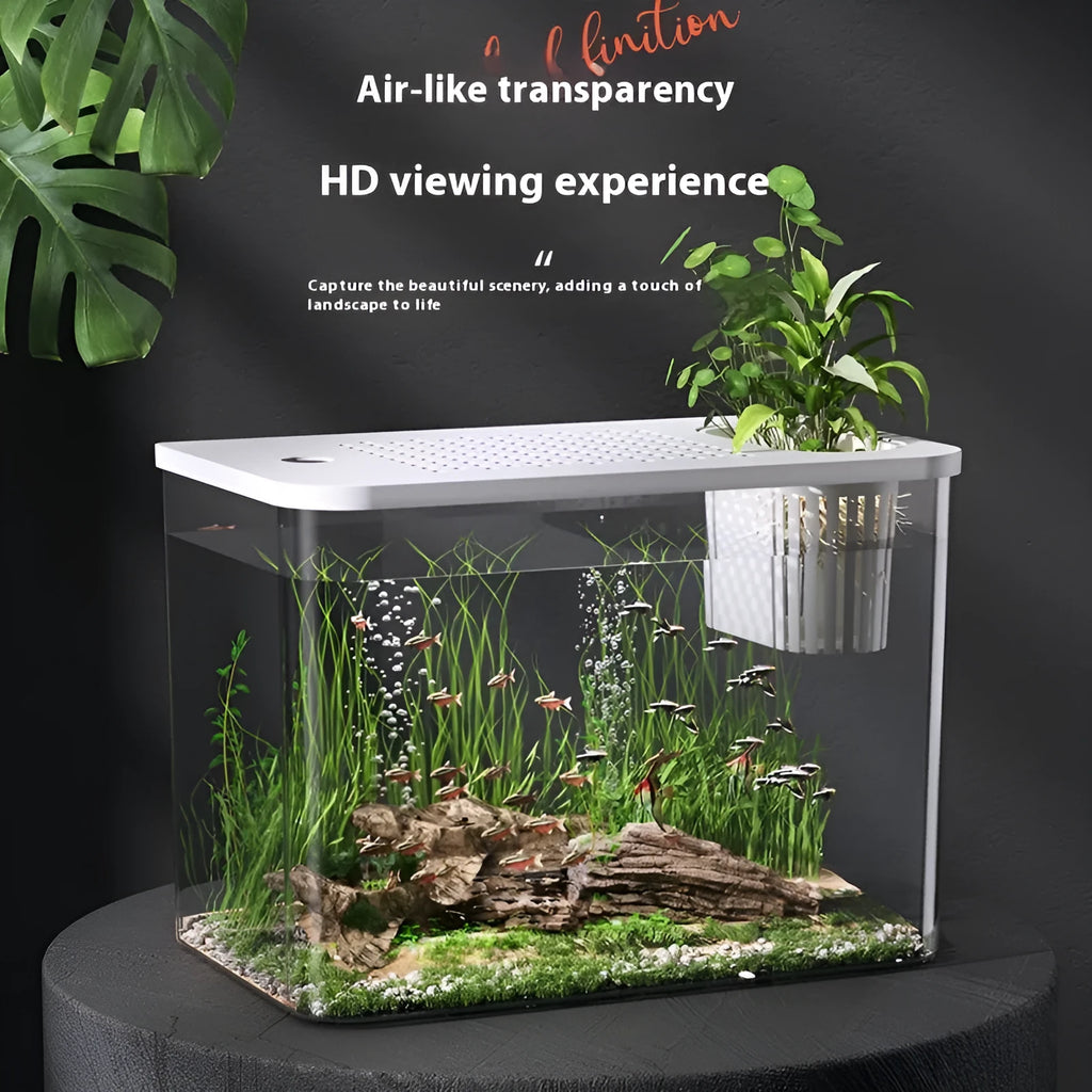 Black or white Betta fish tank with cover, 32cm long by 18.5cm wide by 23cm high