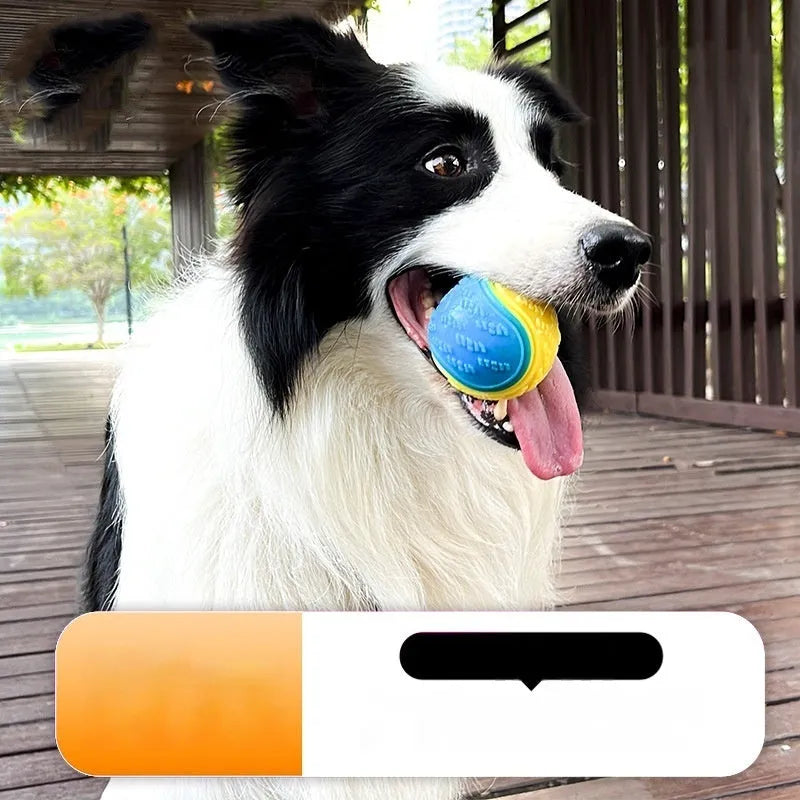 TPR dog chew ball in blue and orange colours showing textured surface and 6.5cm size
