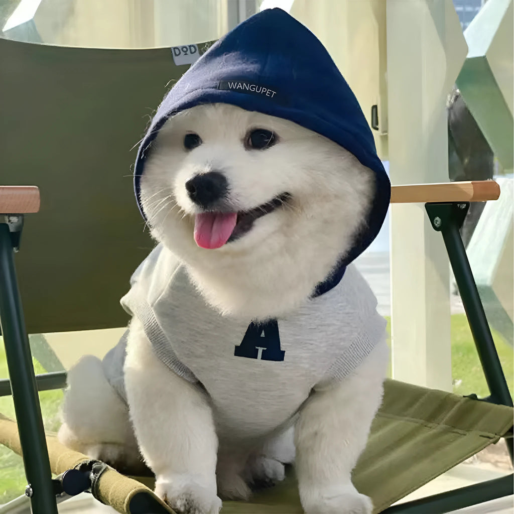 Blue pet hoodie with reflective white letters on a dog, showing slim fit design