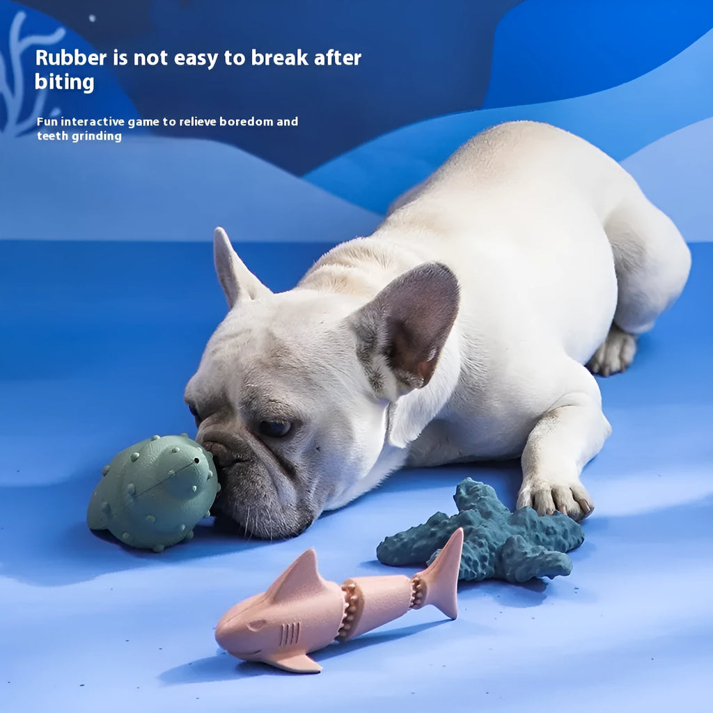 Deep sea shark rubber dog toy with conch and starfish shape variants in blue and green colours