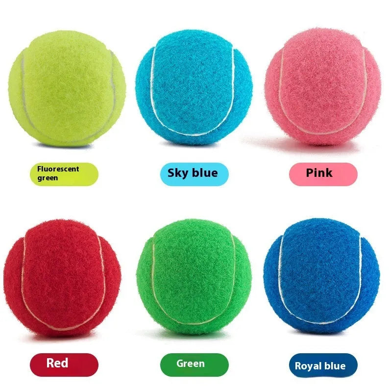 Bite-resistant rubber tennis ball dog toy 6.3cm diameter in five colour options