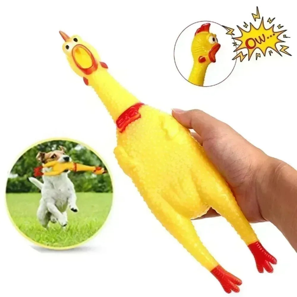 Yellow rubber screaming chicken dog squeak toy showing three size options