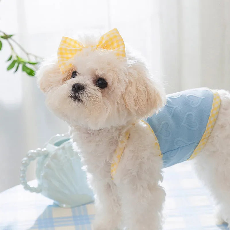 Small dog wearing a blue heart texture vest with bow suspenders and matching hairband