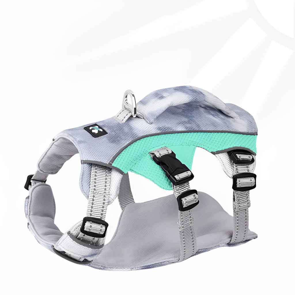 Reflective light blue dog chest strap shown on a dog for size and fit.