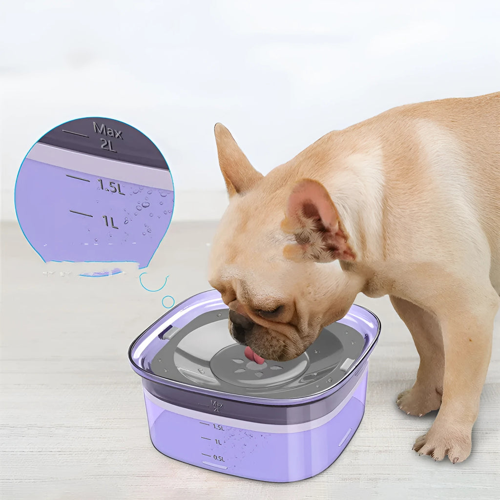 Floating pet water bowl in ABS with splash-proof disk, 21.3 x 18.8 x 9.5 cm, shown in one of six colours