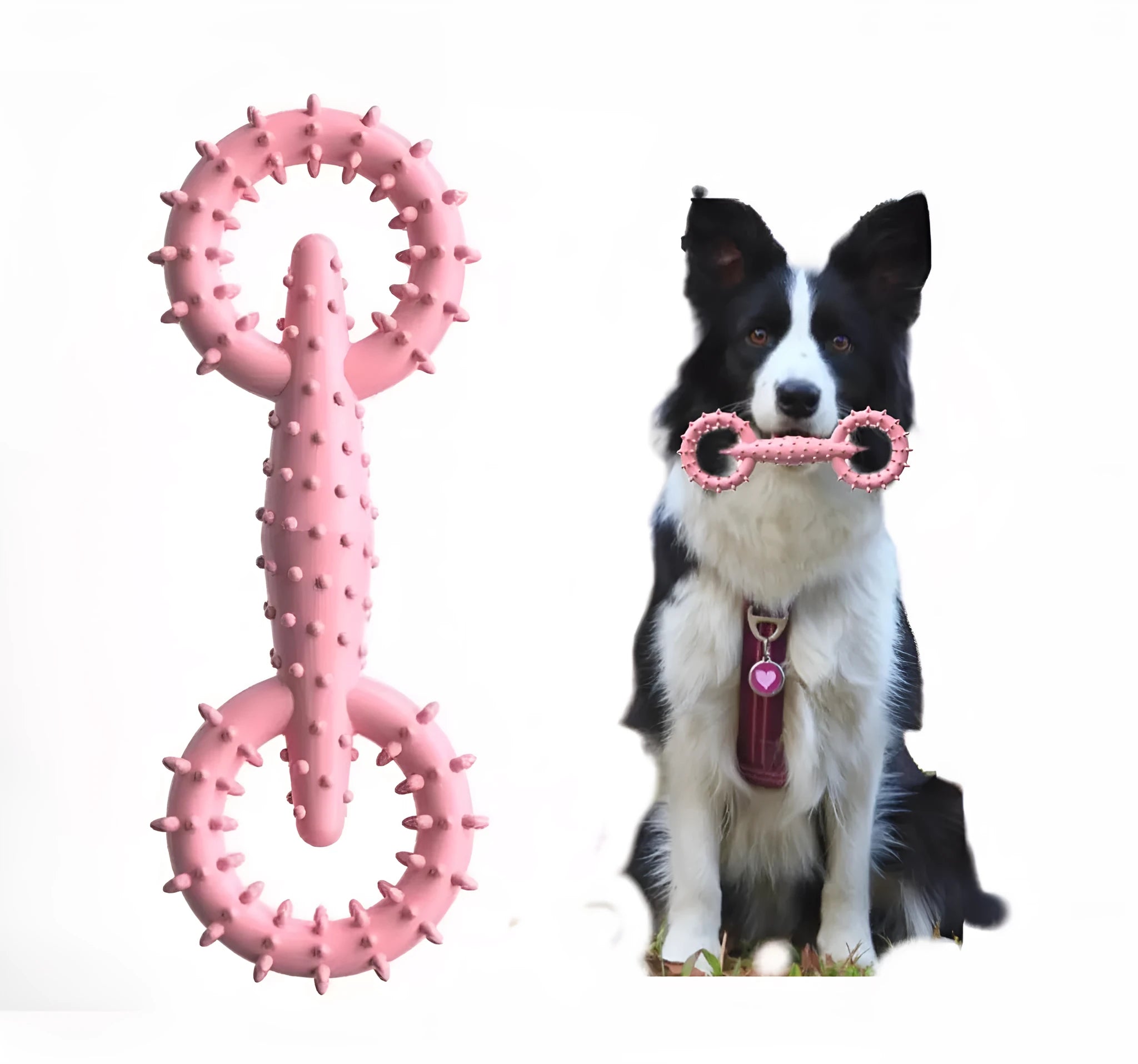 Blue TPR dog chew toy ring for puppy teething, 16cm diameter