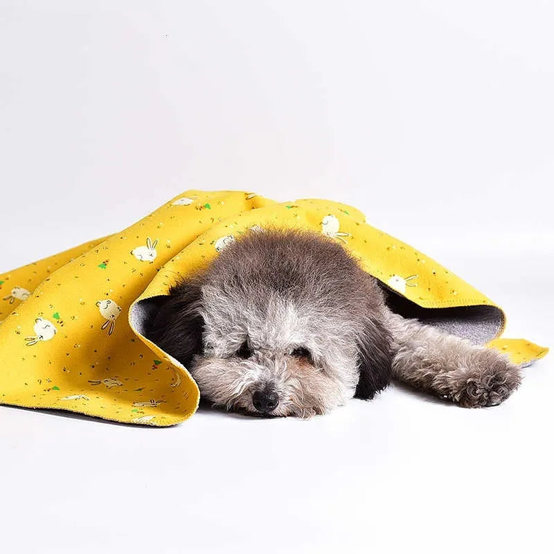 Double-sided cotton wool pet blanket with cartoon dinosaur print, shown in size L next to a dog bed.