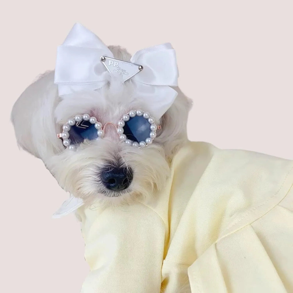 Pearl-rimmed round sunglasses for cats and dogs in multiple colours on a festive background.