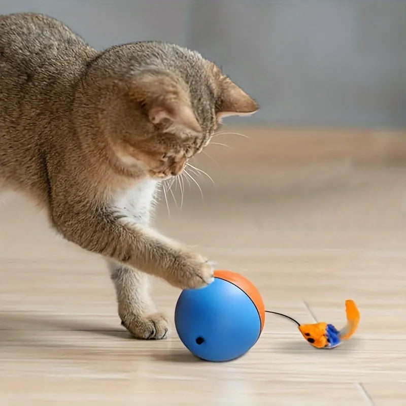 Blue and orange soft plush mouse cat toy for interactive indoor exercise.