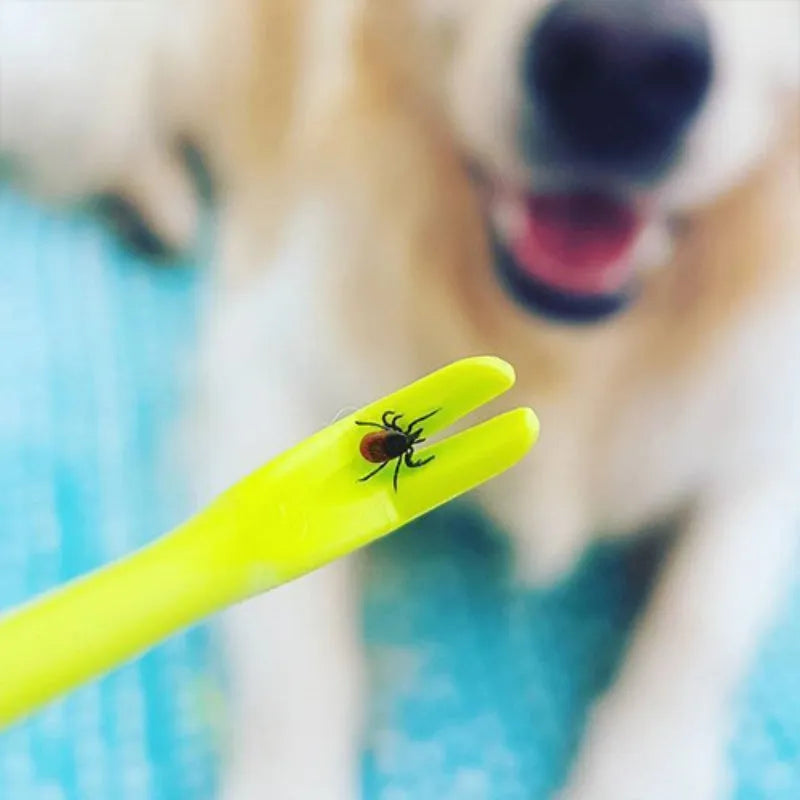 Three blue and green plastic tick removal clips with hook design for pets.