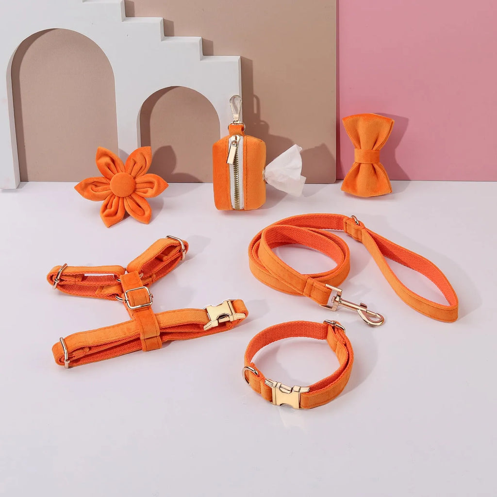 Complete velvet dog collar and traction rope set with bow tie, flower, and toilet bag on a table
