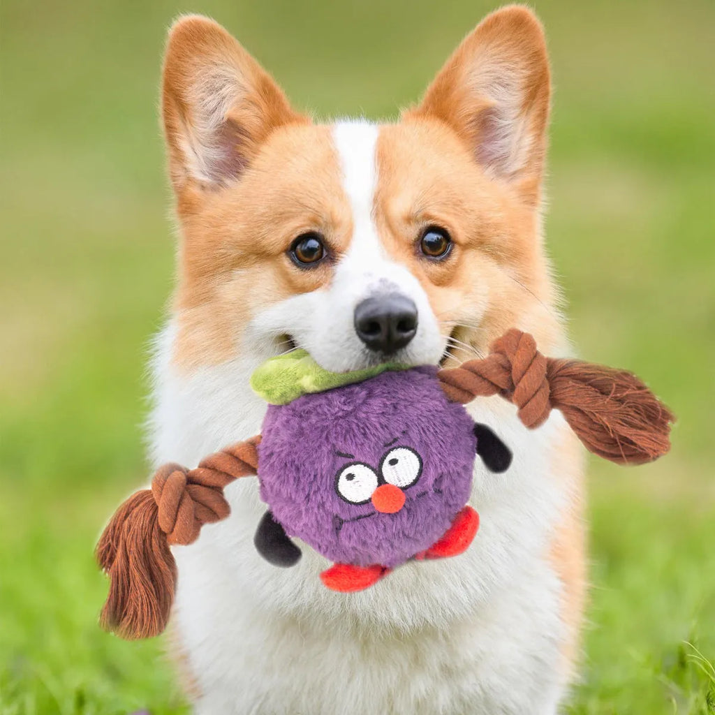 Green and purple interactive dog plush toy with internal rope knot for tug-of-war and chewing.