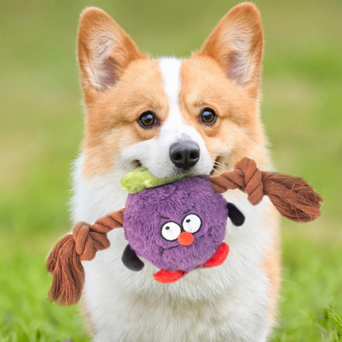 Green and purple interactive dog plush toy with internal rope knot for tug-of-war and chewing.