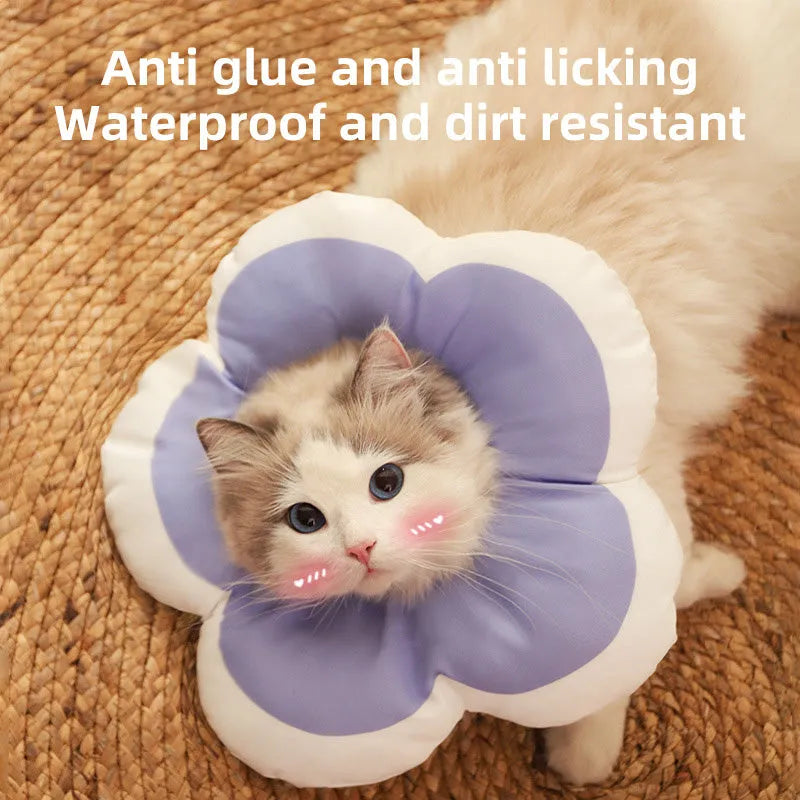 A soft blue cotton collar with flower print, fastened around a cat's neck as a protective recovery cone.