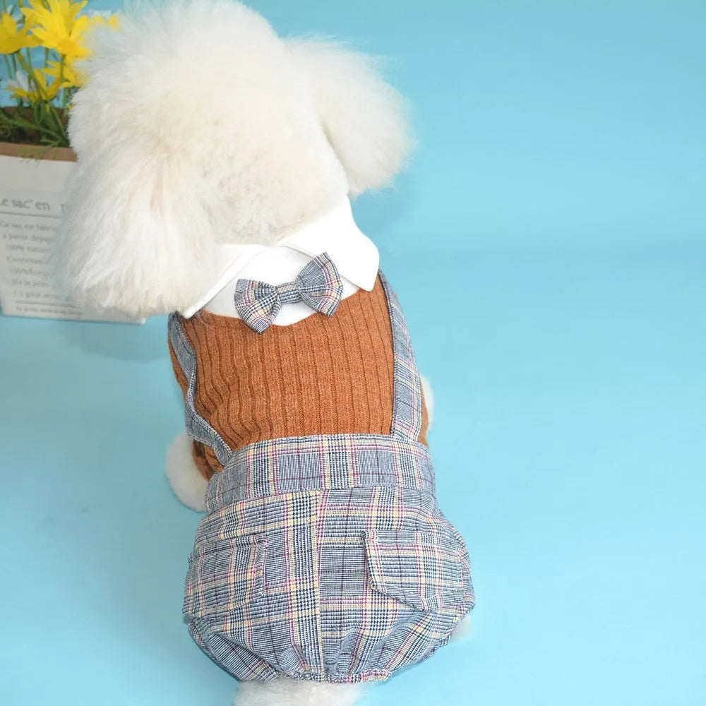 Orange and dark blue cotton dog suit shirts shown in sizes S through 2XL for small dogs