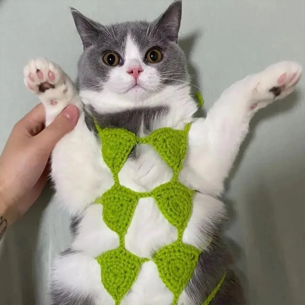 Colourful bikini costume for a cat or small dog on a white background.