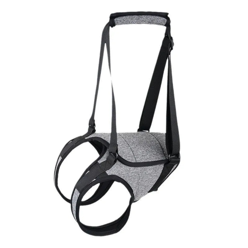 Grey neoprene dog recovery belt for hind leg support, L size adjustable fit
