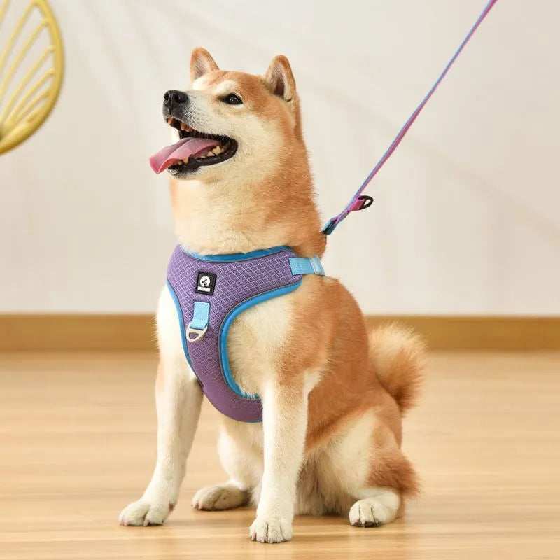 Adjustable mesh dog harness with reflective strips in black, red, grey, or light purple
