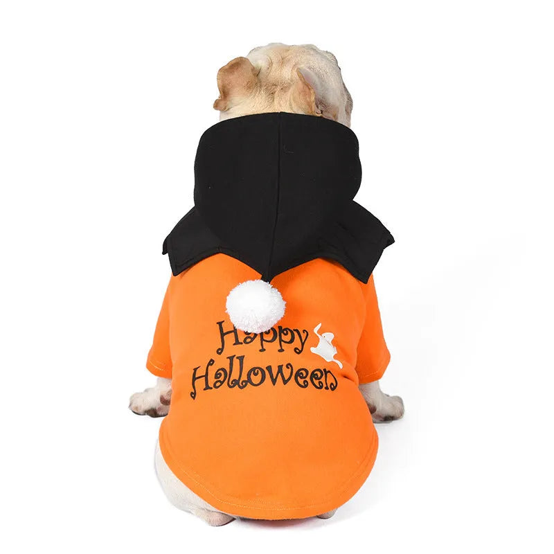 Black and orange Halloween pumpkin dog sweater and matching shawl set on a model dog.