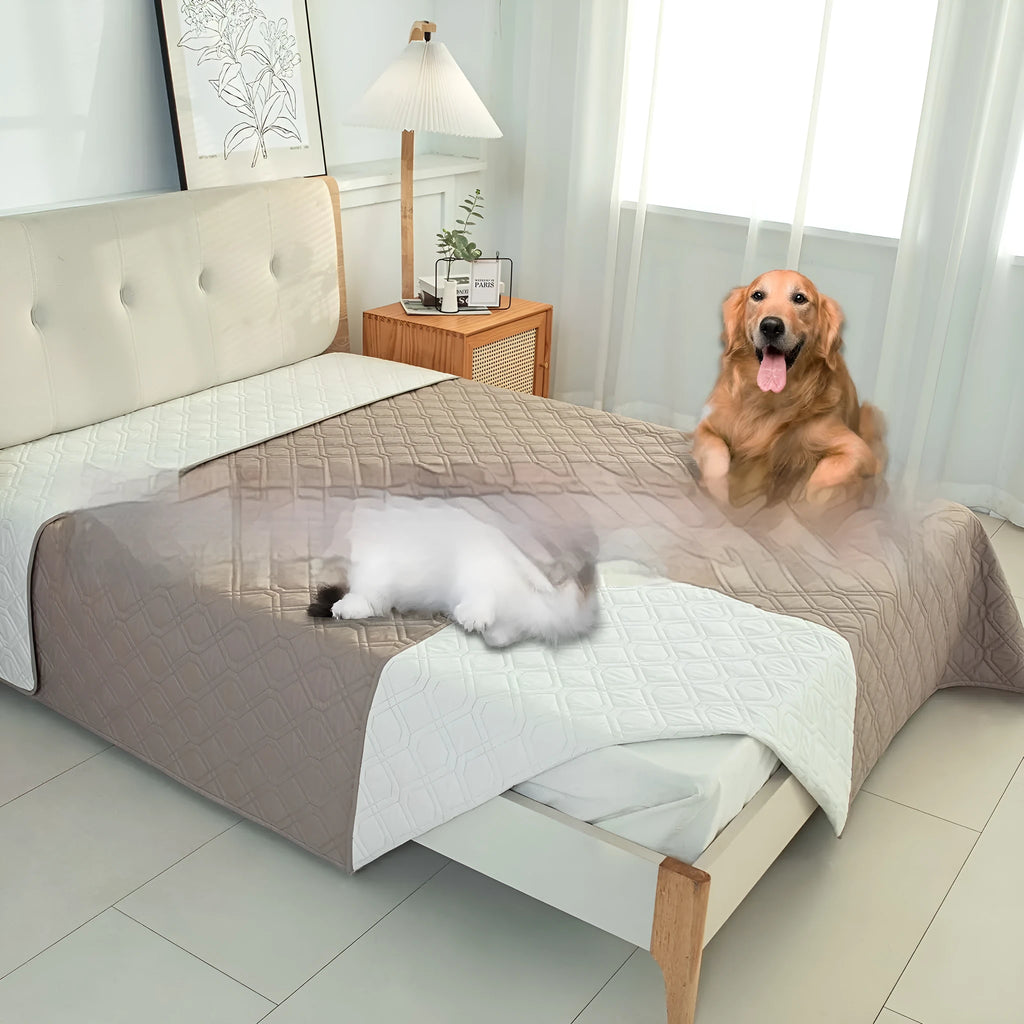 Double-sided waterproof dog sofa cushion in dark grey and light grey contrasting colours on a sofa.