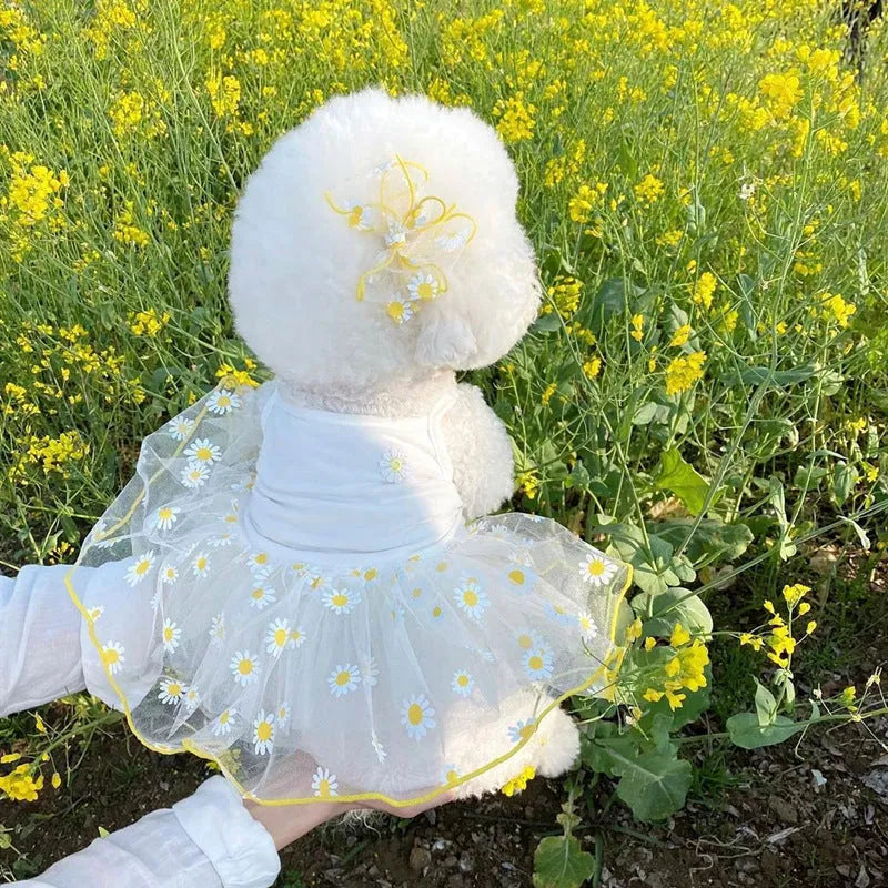 Yellow daisy patterned thin summer dog clothes made from polyester fabric