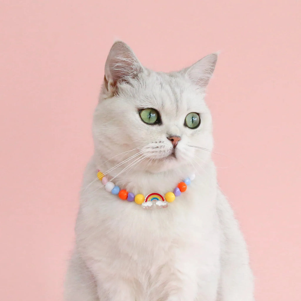 Colourful plastic bead pet necklace with adjustable sizing for small cats and dogs