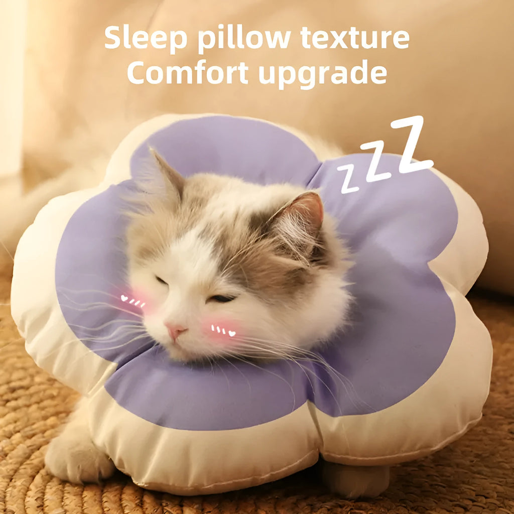 A soft blue cotton collar with flower print, fastened around a cat's neck as a protective recovery cone.