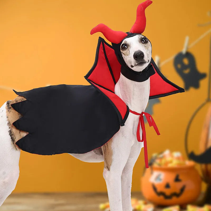 Black vampire costume for pets with cloak and hat for Halloween
