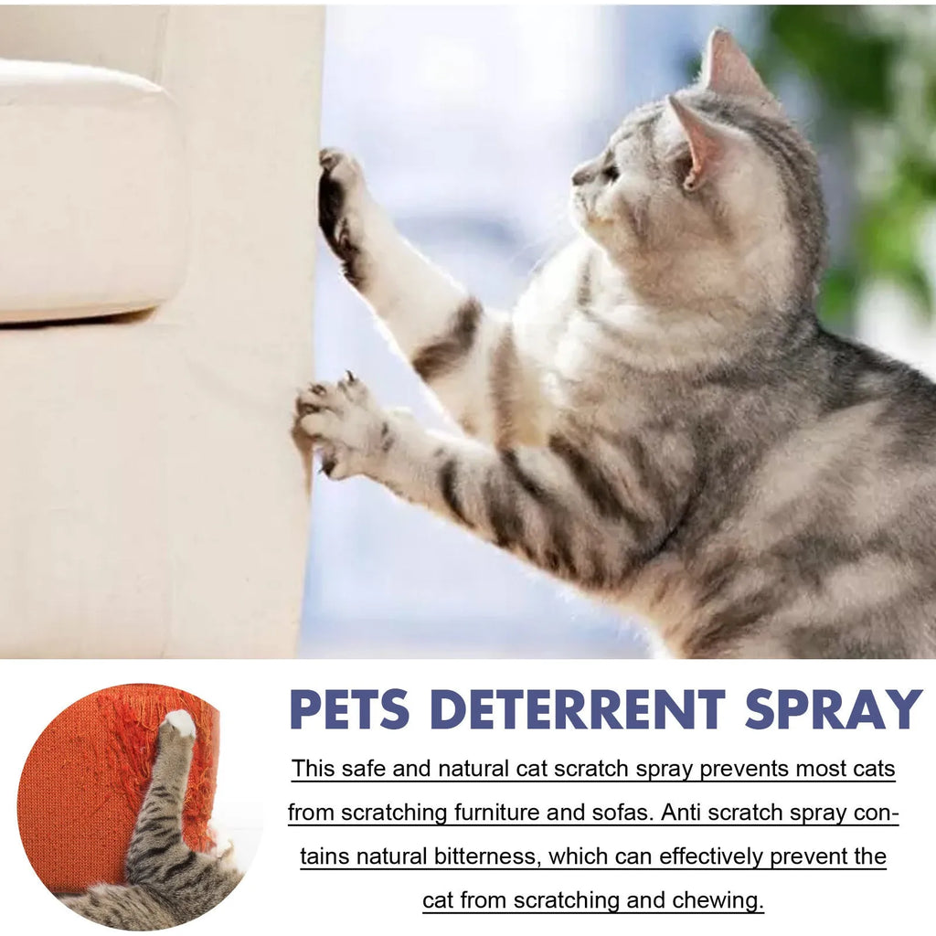 50ml pet deterrent spray bottle for stopping cats and dogs scratching furniture and doors