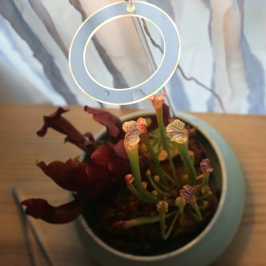 USB-powered LED grow light for plants with acrylic mounting stick in pink/white colour