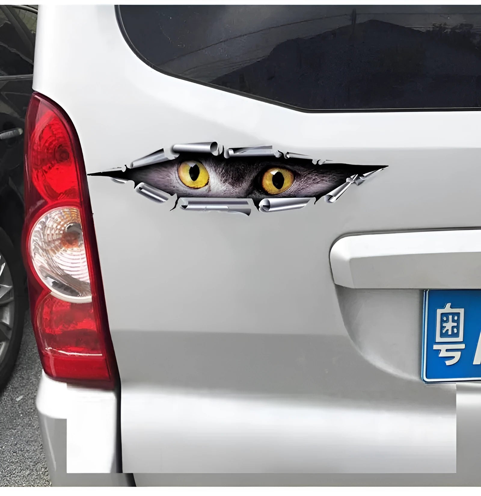Tiger Eye Eagle Eye 3D car bumper sticker measuring 35cm on vehicle door