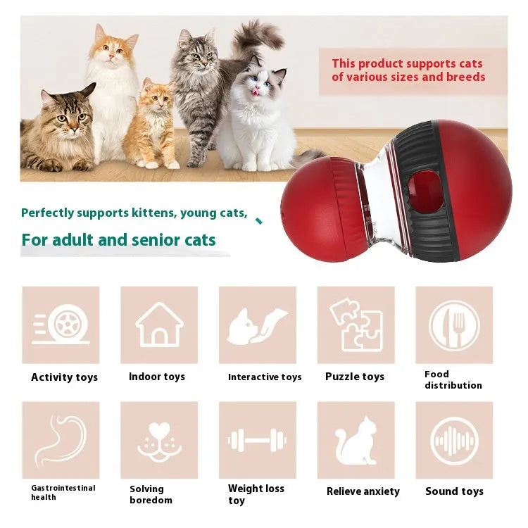 Plastic rotating cat sound food dropping ball toy in Super Ball colour.