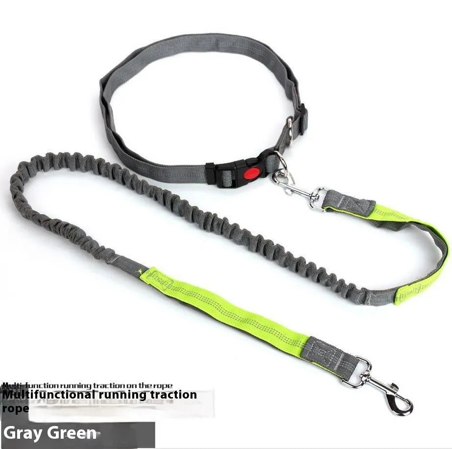 Grey and green reflective elastic dog leash showing 2.5cm width and nylon construction