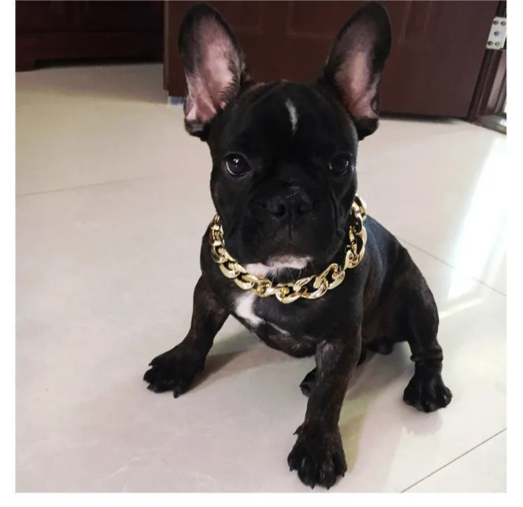 Gold colour chain dog collar with geometric plastic design for small to medium sized pets