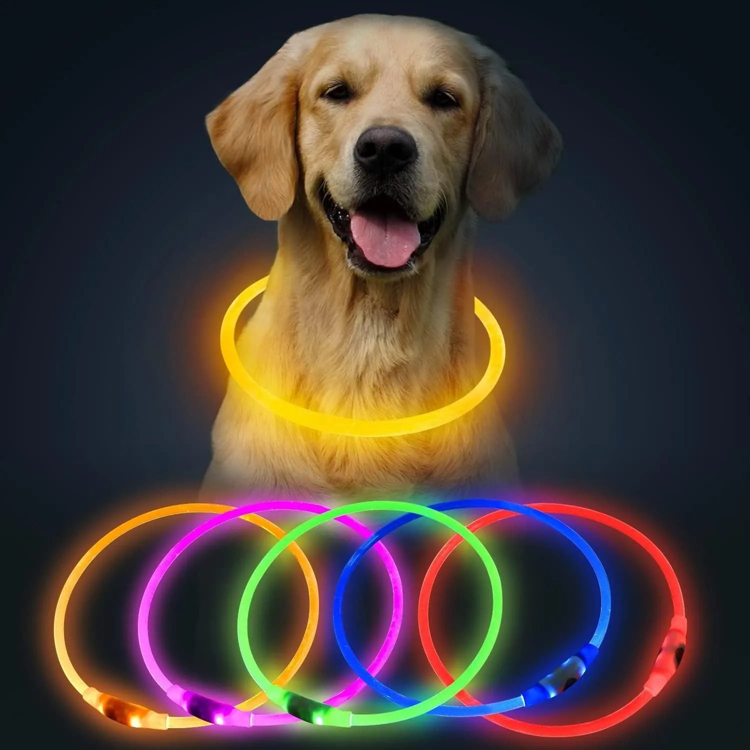 USB rechargeable LED dog safety collar showing blue illuminated band with adjustable 70cm length