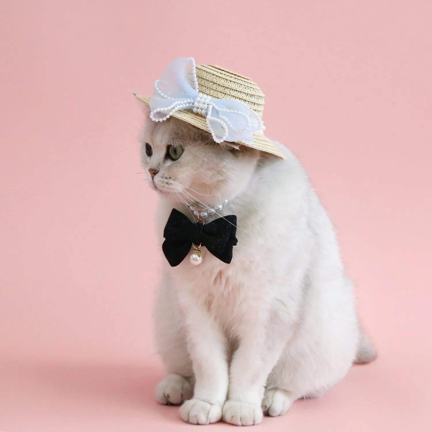 Woven Lafite leaf cat hat with pearl bow decoration in butterfly design