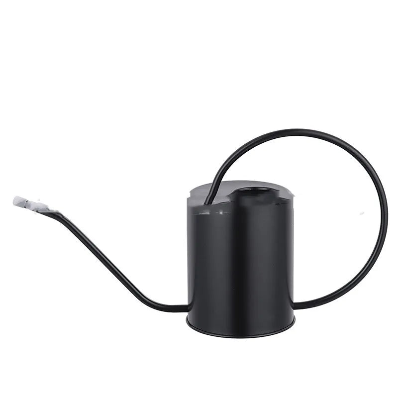 Stainless steel 2 litre watering can with long spout in black, gold, or silver finish