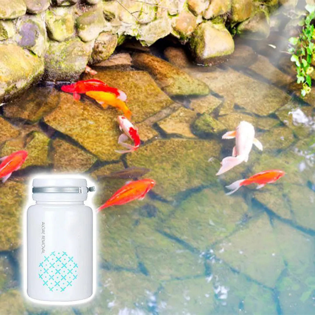 50g swimming pool algaecide container for algae removal and moss prevention