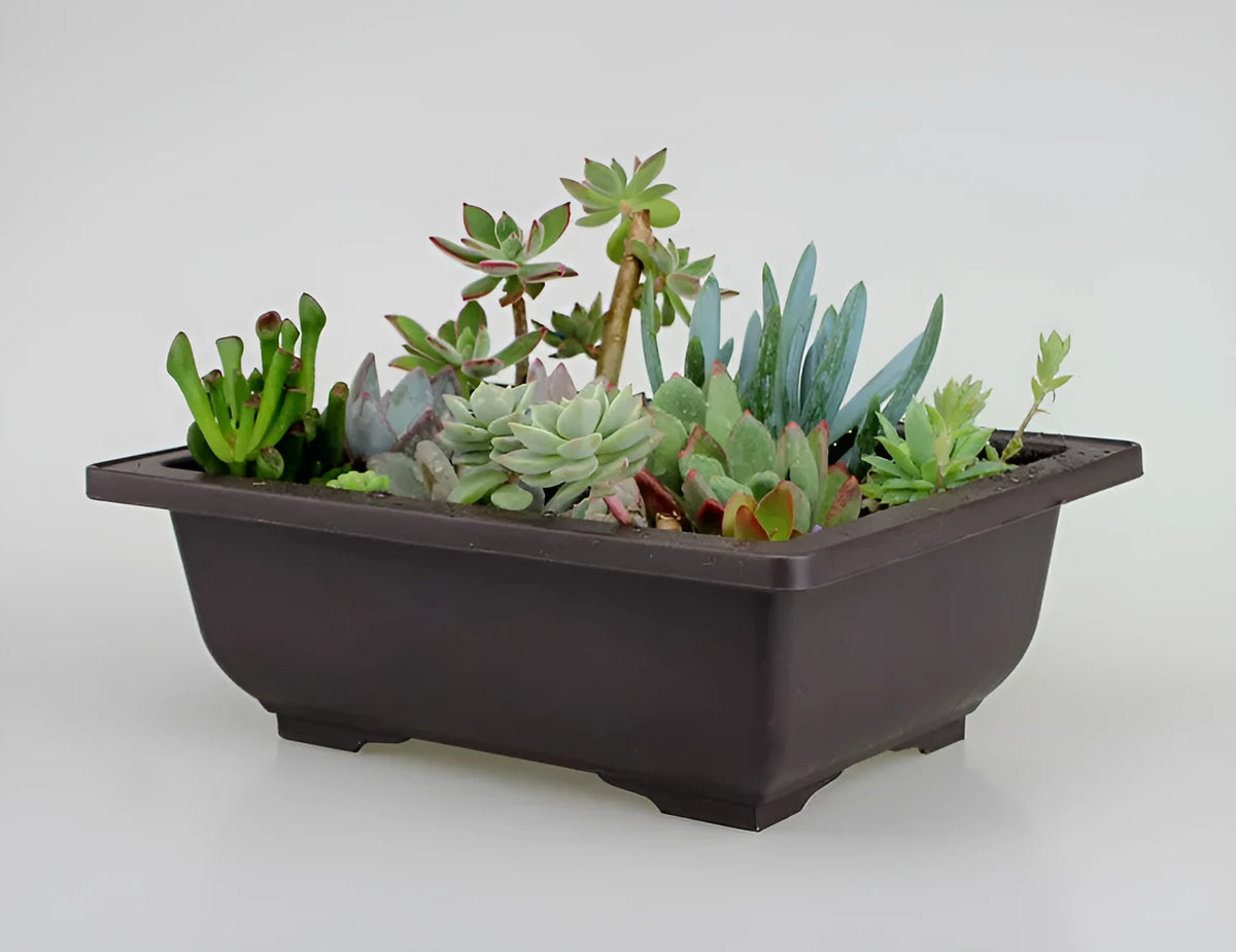 Dark brown antique plastic flowerpot in multiple size options for garden use